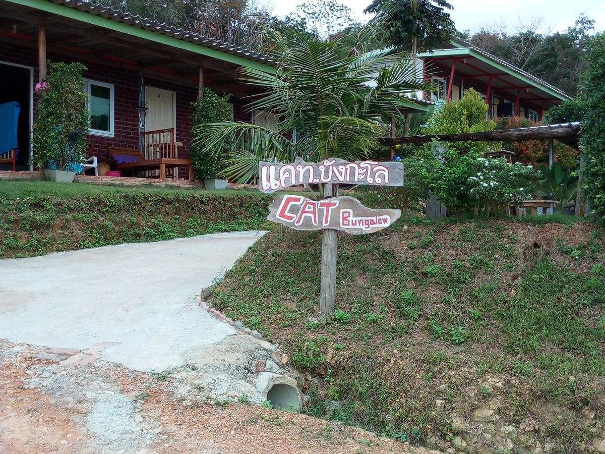 Cat Wisma tamu